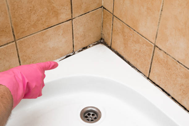 Best Water Damage Restoration  in Ellis, KS